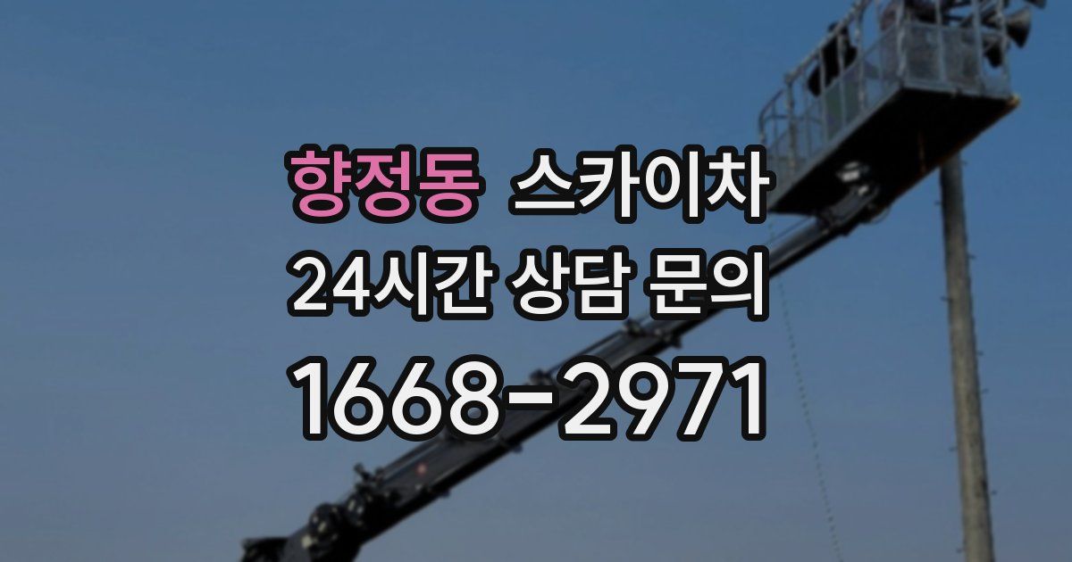 향정동 스카이차