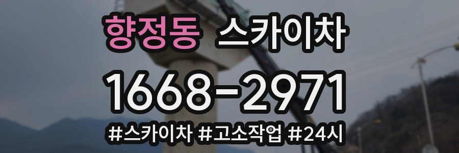 향정동 스카이차