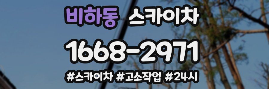 비하동 스카이차