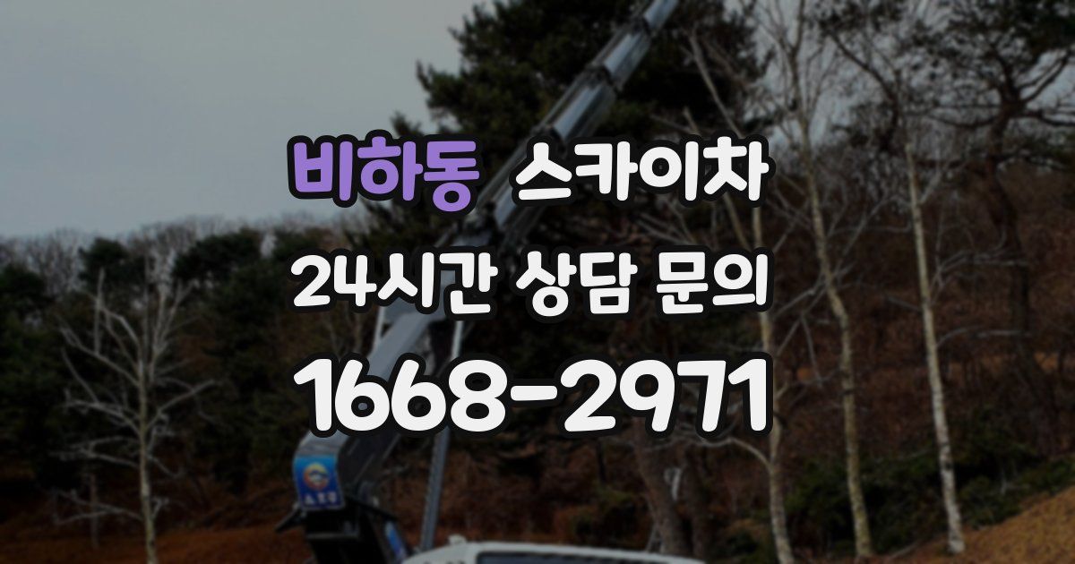 비하동 스카이차