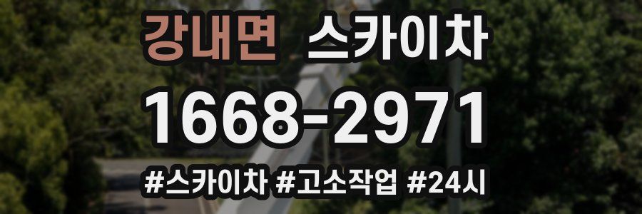 강내면 스카이차