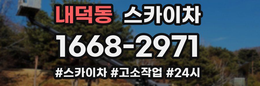 내덕동 스카이차