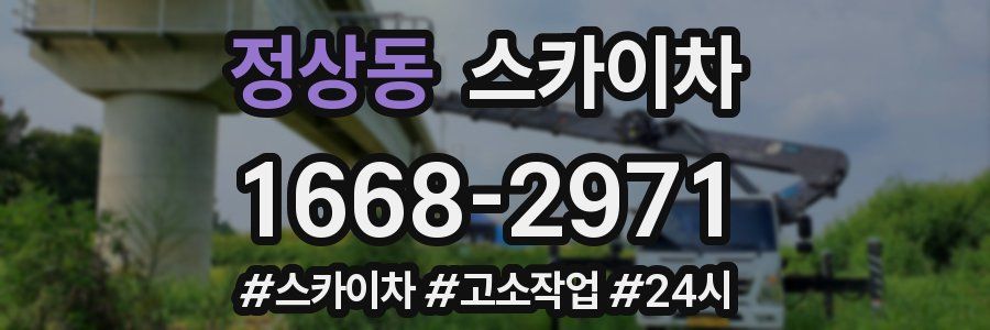 정상동 스카이차