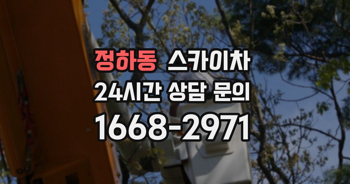 정하동 스카이차