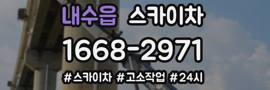 내수읍 스카이차