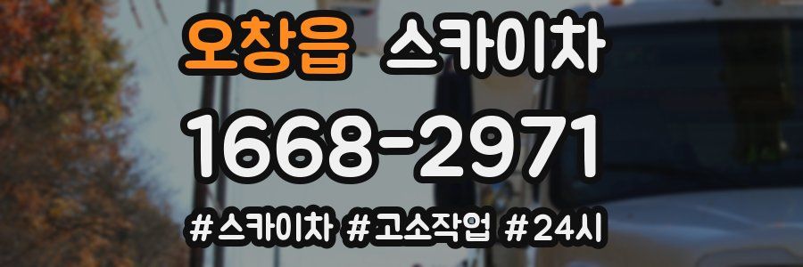 오창읍 스카이차