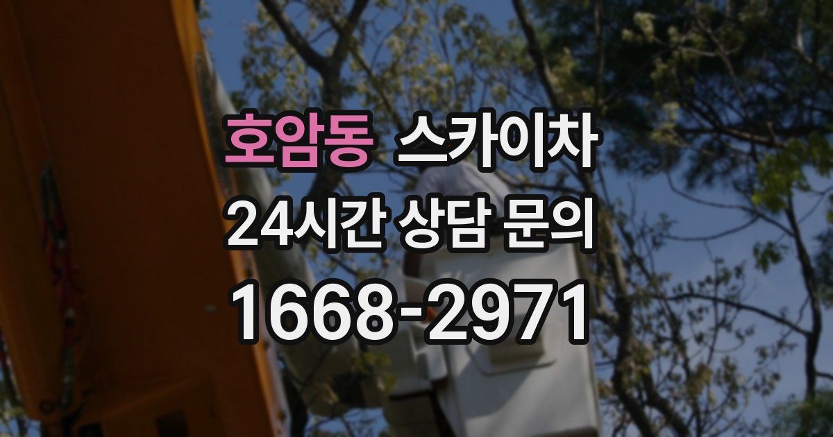 호암동 스카이차