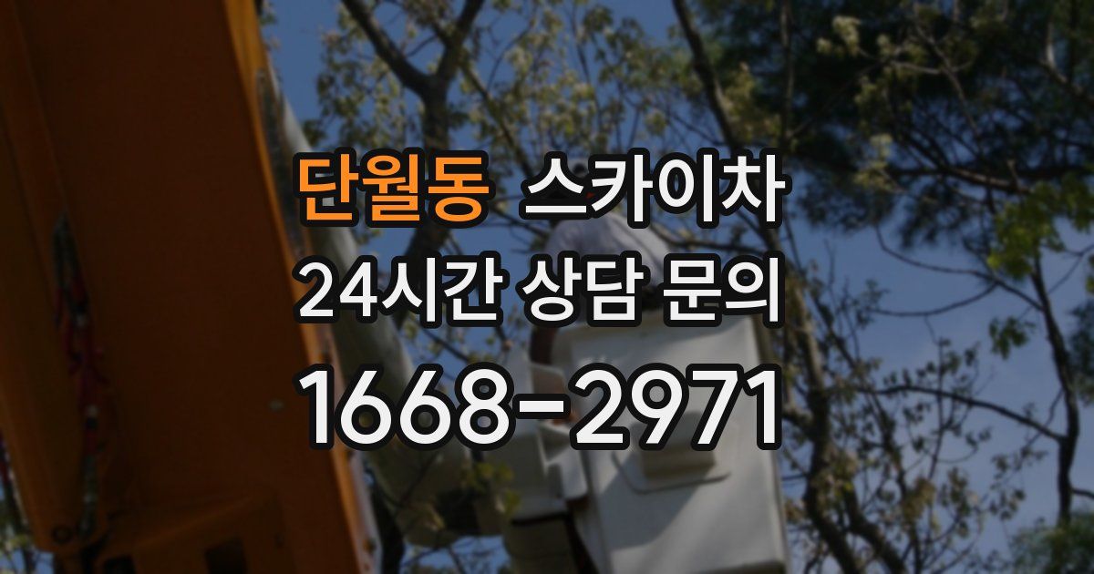 단월동 스카이차