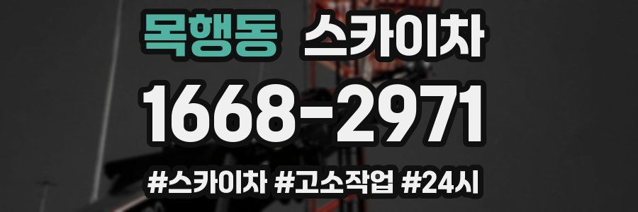 목행동 스카이차