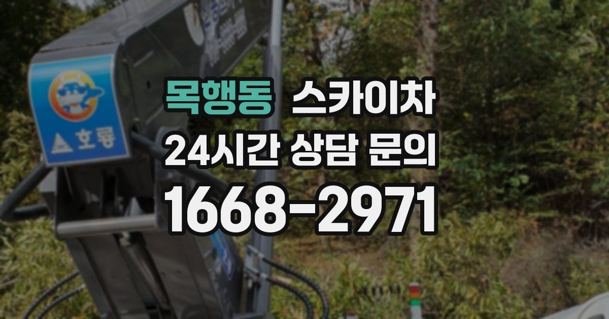 목행동 스카이차