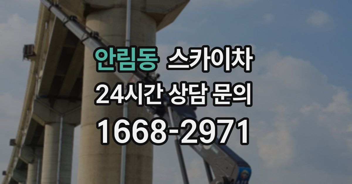 안림동 스카이차