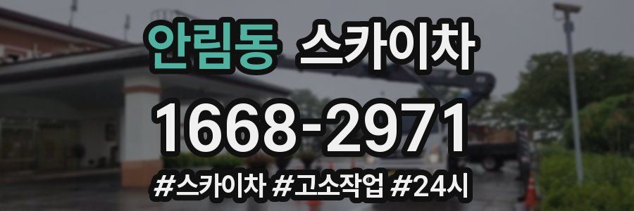 안림동 스카이차