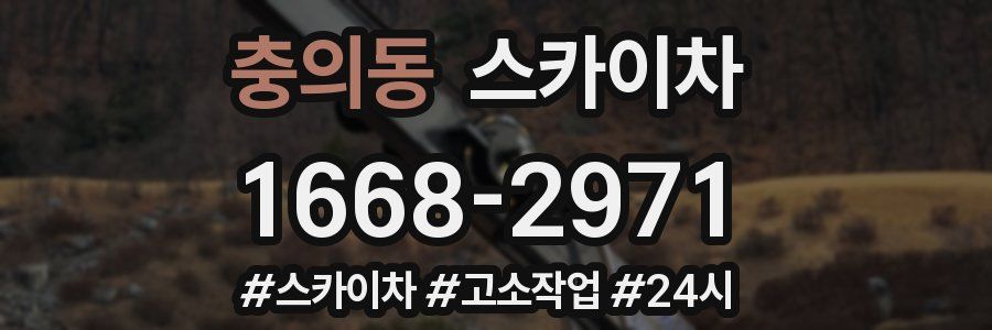 충의동 스카이차