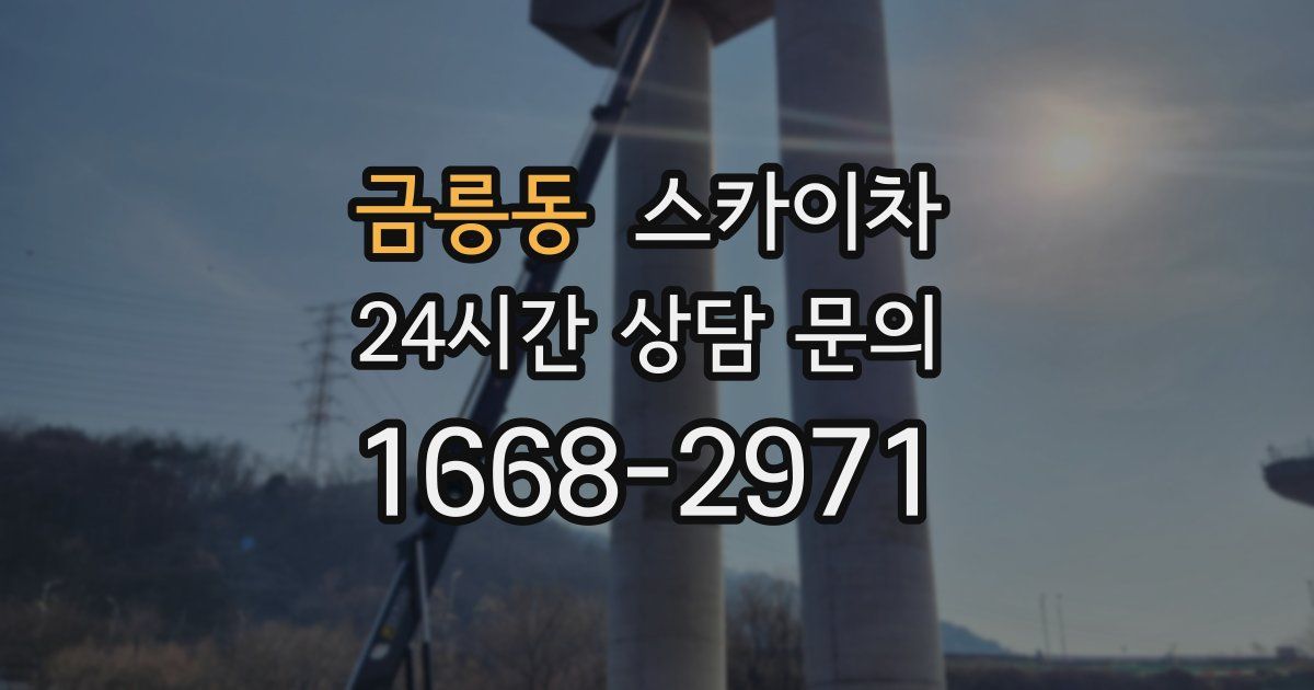 금릉동 스카이차