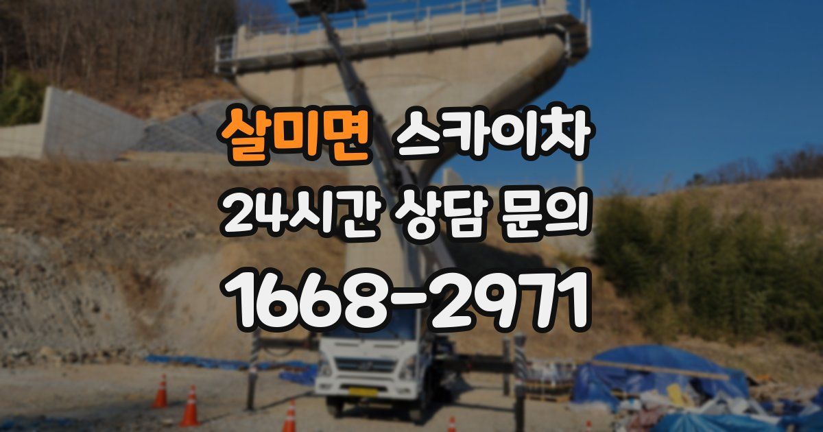 살미면 스카이차