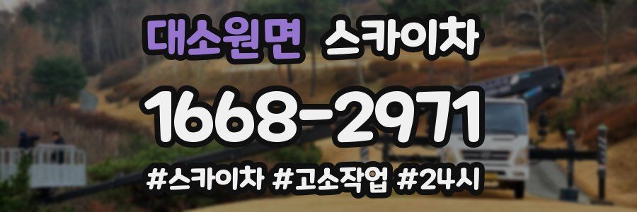 대소원면 스카이차