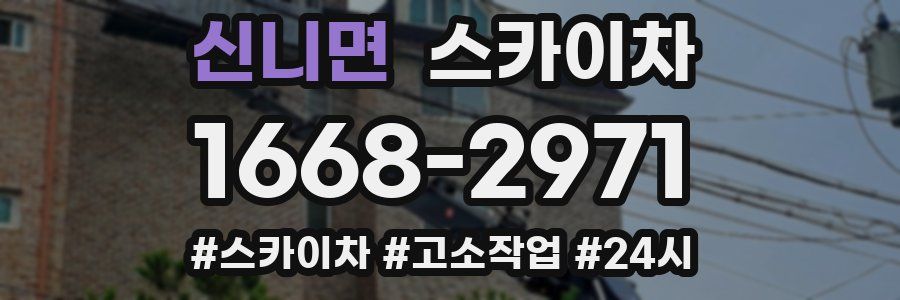 신니면 스카이차