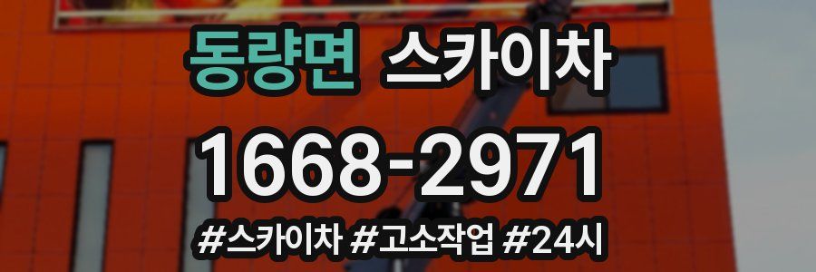 동량면 스카이차