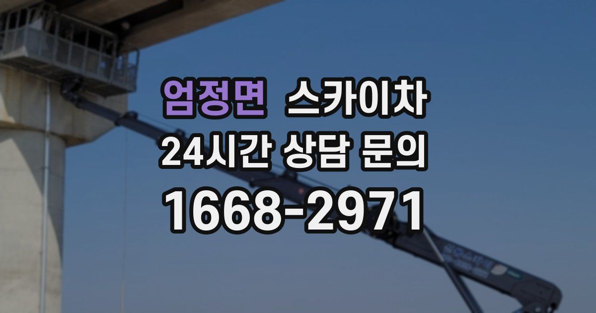 엄정면 스카이차