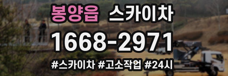 봉양읍 스카이차