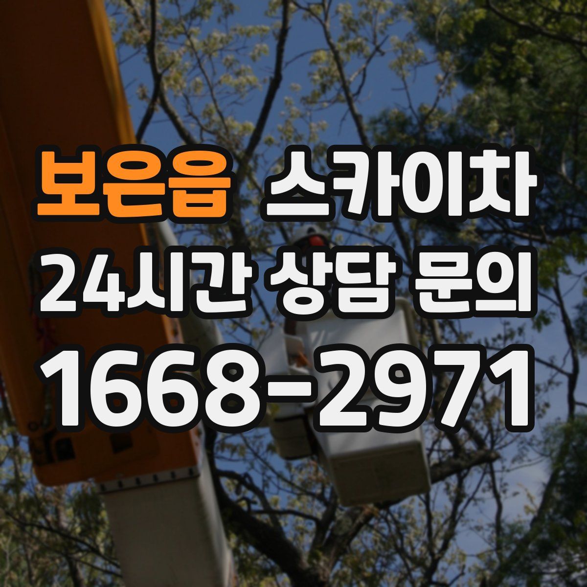 보은읍 스카이차