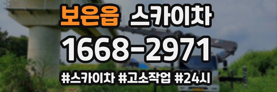 보은읍 스카이차