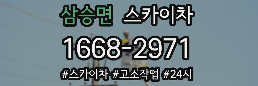 삼승면 스카이차