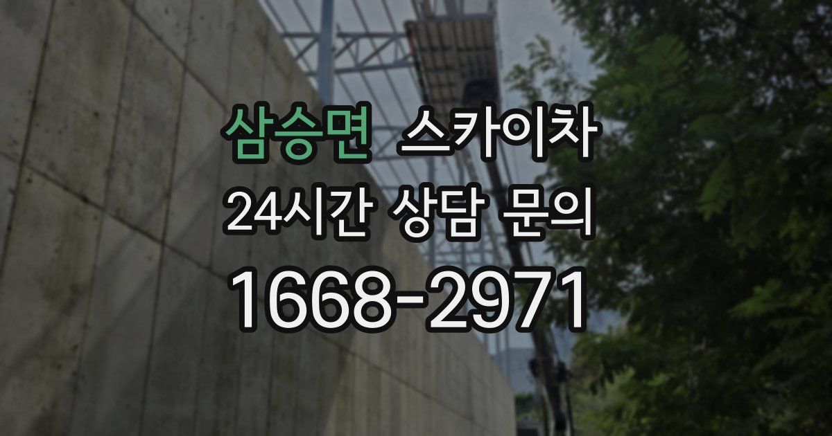 삼승면 스카이차