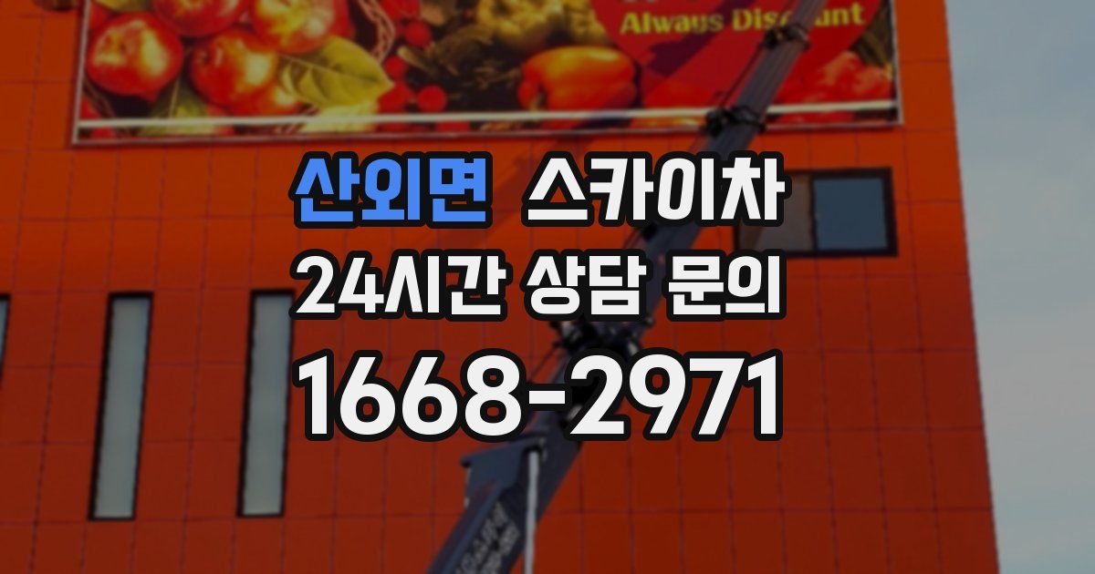 산외면 스카이차