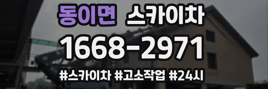 동이면 스카이차