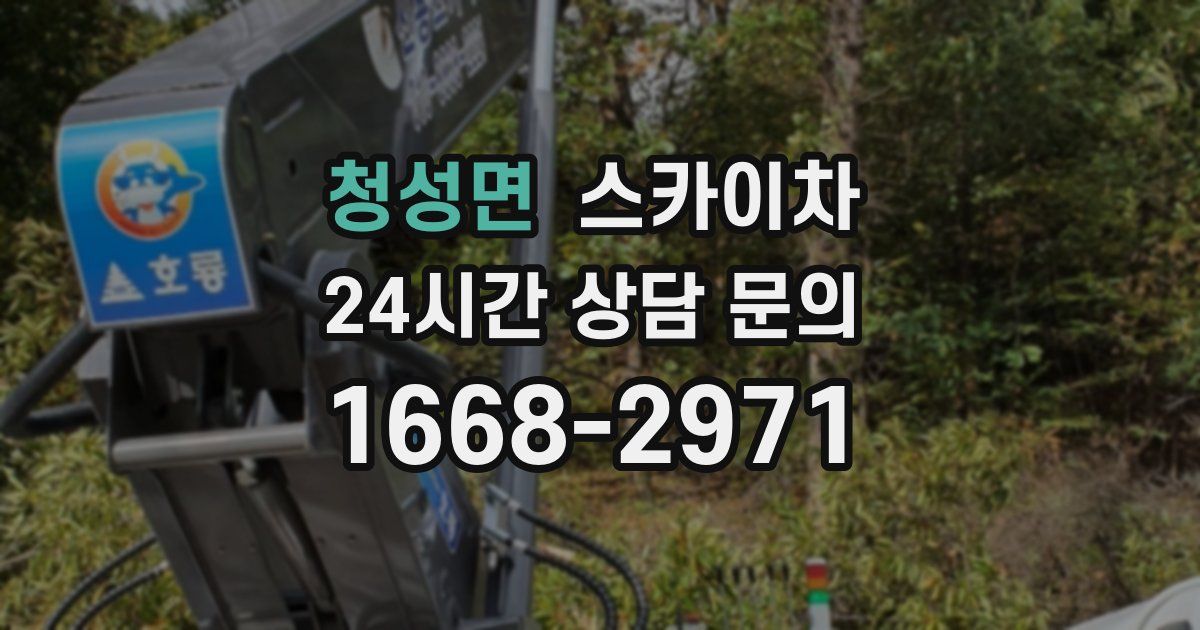 청성면 스카이차