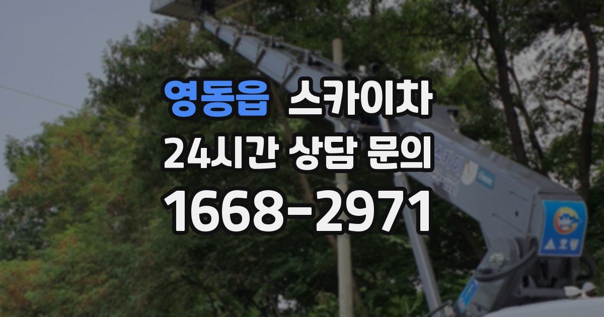 영동읍 스카이차