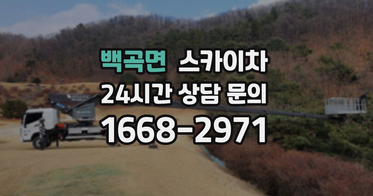 백곡면 스카이차