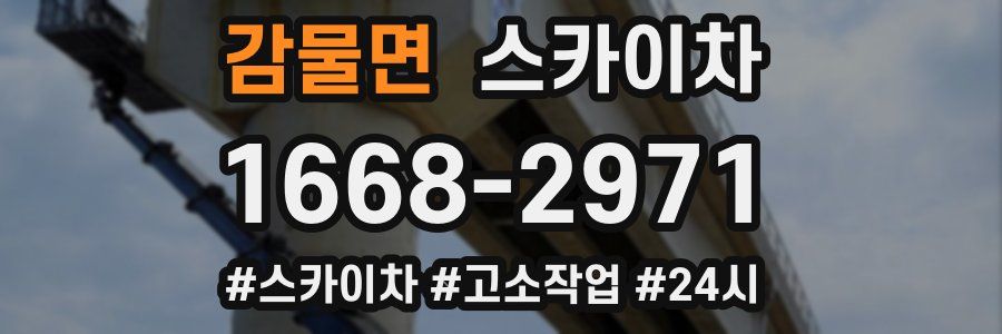 감물면 스카이차