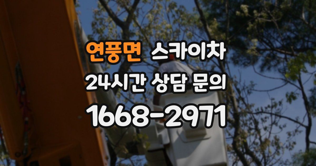 연풍면 스카이차