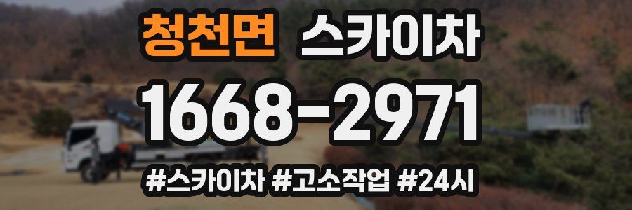 청천면 스카이차