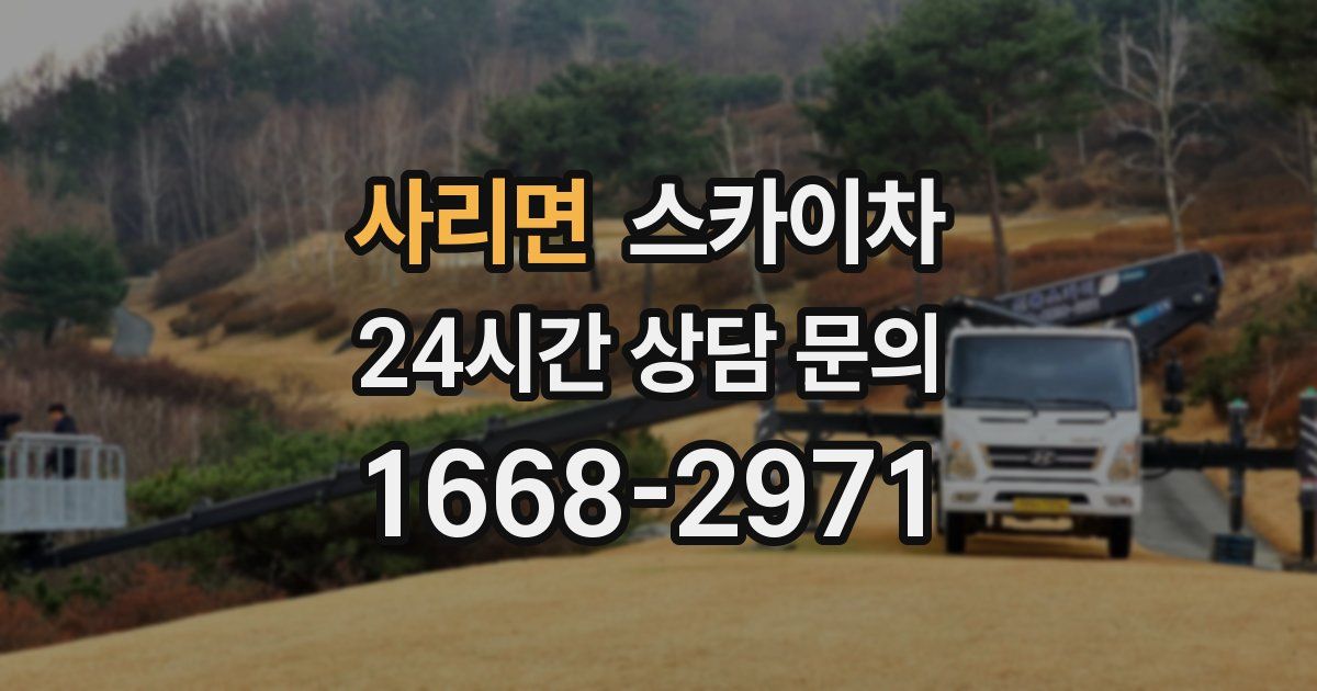 사리면 스카이차