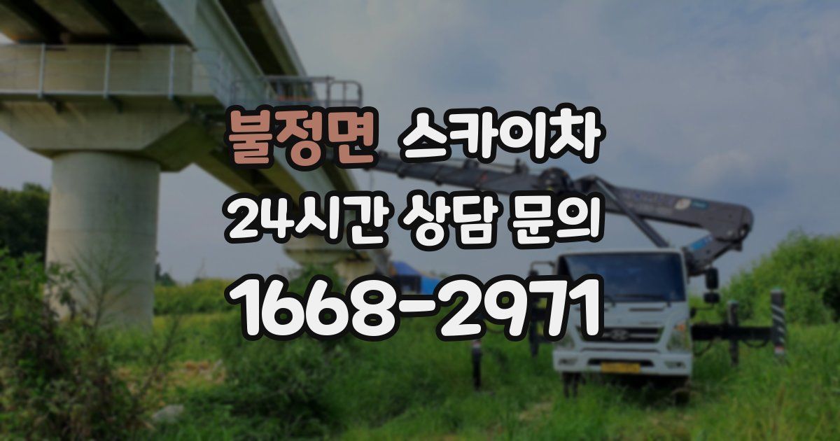 불정면 스카이차