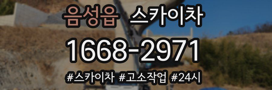 음성읍 스카이차