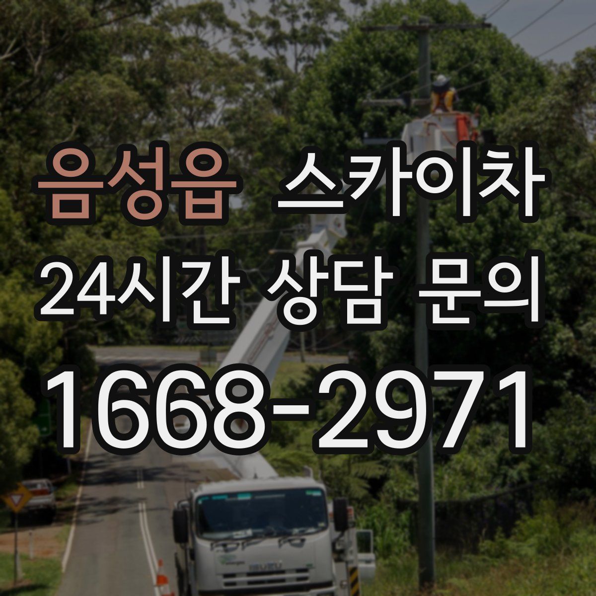 음성읍 스카이차