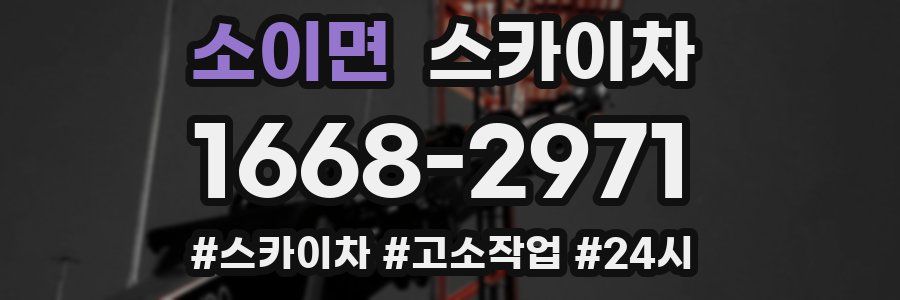 소이면 스카이차