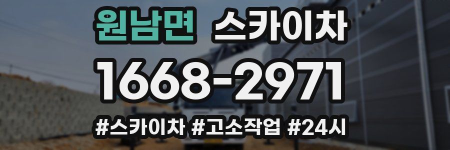 원남면 스카이차