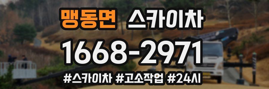 맹동면 스카이차