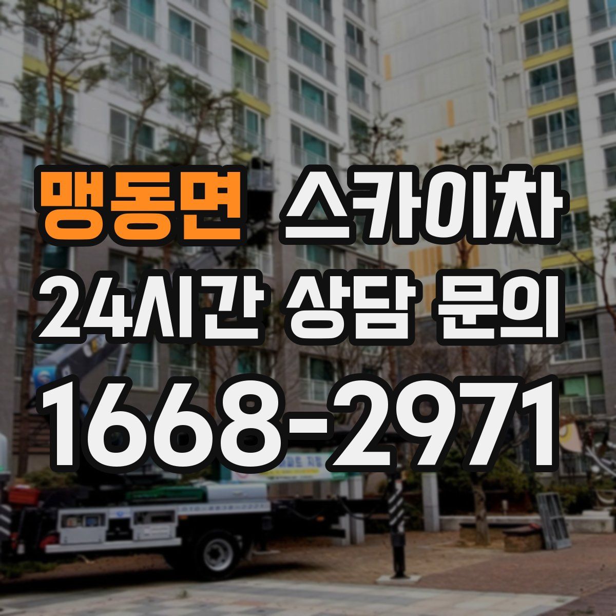 맹동면 스카이차