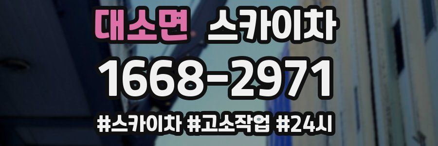 대소면 스카이차