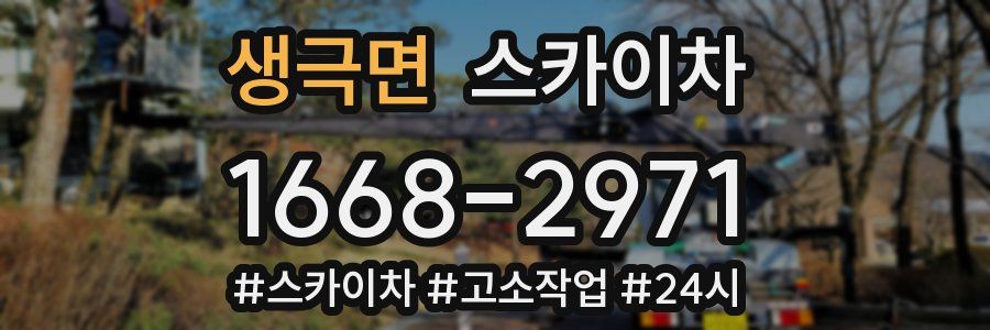 생극면 스카이차