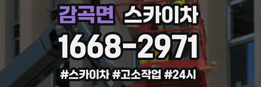 감곡면 스카이차