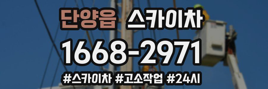 단양읍 스카이차