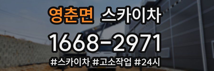 영춘면 스카이차