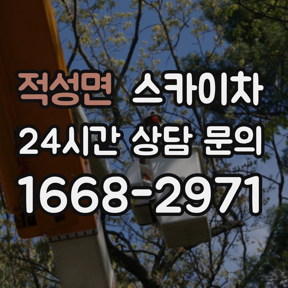 적성면 스카이차